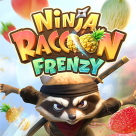 Ninja Raccoon Frenzy logo