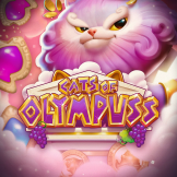 Cats of Olympuss logotyp