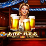 Stein Haus logotyp