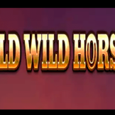 Wild Wild Horses logotyp