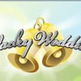 Wacky Wedding logo