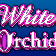 White Orchid logotyp