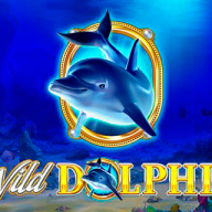Wild Dolphin logotyp