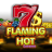 Flaming Hot logo