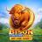 Bison Fortune Coins logotyp