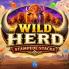 Wild Herd Stampede Stacks logotyp