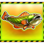 Fish img