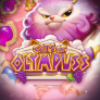 Cats of Olympuss logotyp