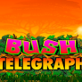 Bush Telegraph logotyp