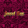 Jewel Box logotyp