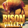 Bison Valley logotyp