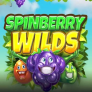 Spinberry Wilds logotyp