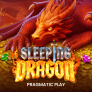 Sleeping Dragon logotyp