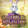 White Rabbit logotyp