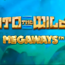 Into The Wilds Megaways logotyp