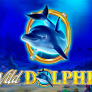 Wild Dolphin logotyp