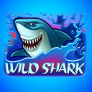 Wild Shark logotyp