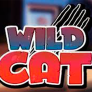Wild Cat logotyp