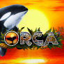 Orca logotyp