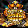 Gopher Gold logotyp