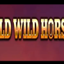 Wild Wild Horses logotyp