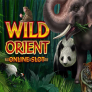 Wild Orient logotyp