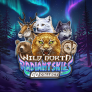 Wild North Radiant Skies Go Collect logotyp