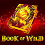 Book of Wild logotyp