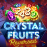 243 Crystal Fruits Reversed logotyp