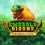 Emerald Bisons PrizeMatch logotyp