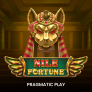 Nile Fortune logotyp