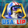 USA Flip logotyp