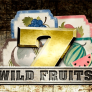 WildFruits logotyp