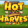 Hot Harvest logotyp