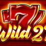 Wild 27 logotyp
