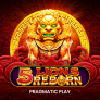 5 Lions Reborn logotyp