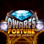 Dwarfs Fortune logotyp