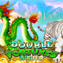 Double Fortune logotyp