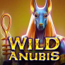 Wild Anubis logotyp
