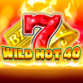 Wild Hot 40 logotyp