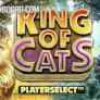 King of Cats logotyp