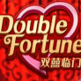 Double Fortune logotyp