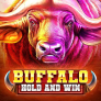 Buffalo Hold and Win logotyp