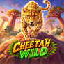 Cheetah Wild logotyp