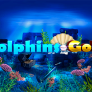 Dolphins Gold logotyp