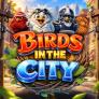 Birds in The City logotyp