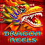Dragon Reels logotyp