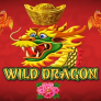 Wild Dragon logotyp