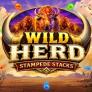 Wild Herd Stampede Stacks logotyp