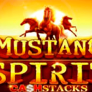 Mustang Spirit Cash Stacks logotyp